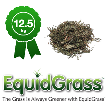 EquidGrass